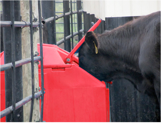 Brower Energy Free Waterer